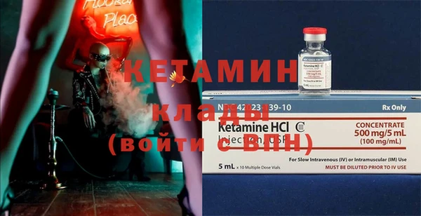 шишки Верея