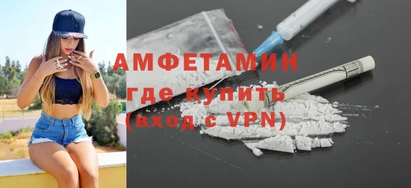 шишки Верея