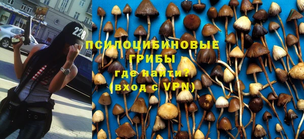 дурь Верхний Тагил