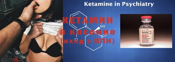 шишки Верея