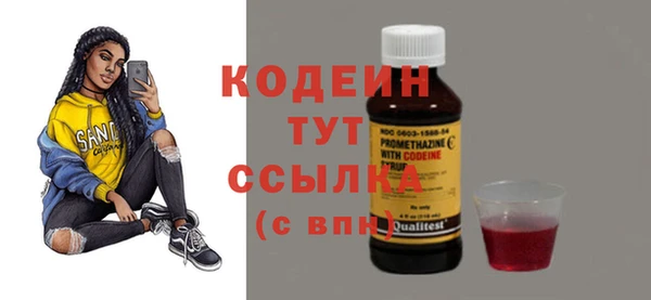 шишки Верея