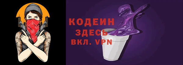 шишки Верея