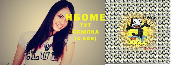 шишки Верея