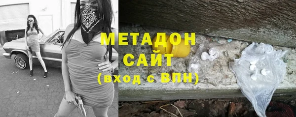 шишки Верея