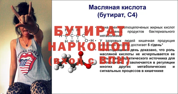 шишки Верея