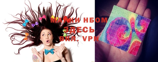 шишки Верея