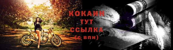 шишки Верея