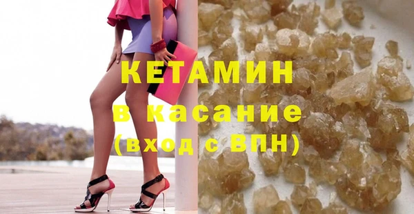 шишки Верея